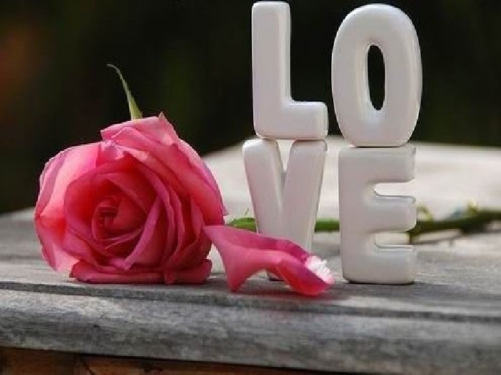 ADELA NUNEZ 1 ADELA NUNEZ 1