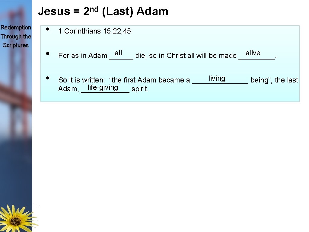 Jesus = 2 nd (Last) Adam Redemption Through the Scriptures • 1 Corinthians 15: