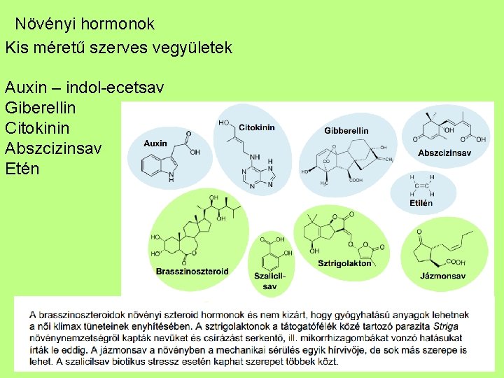 hogyan hatnak a paraziták a hormonokra