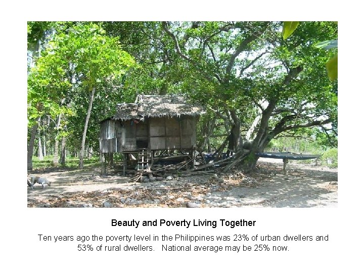 Beauty and Poverty Living Together Ten years ago the poverty level in the Philippines