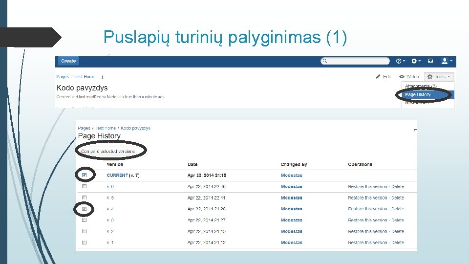 Puslapių turinių palyginimas (1) 