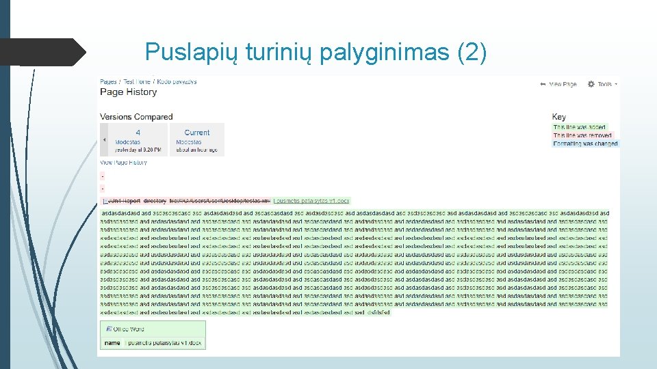 Puslapių turinių palyginimas (2) 