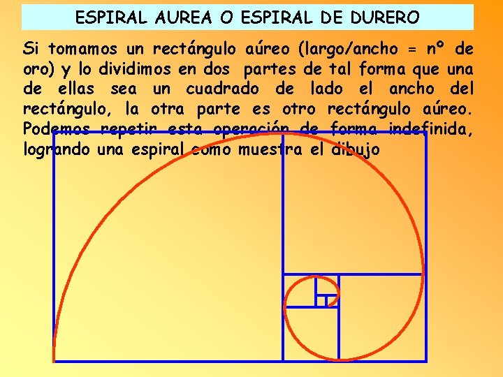 ESPIRAL AUREA O ESPIRAL DE DURERO Si tomamos un rectángulo aúreo (largo/ancho = nº