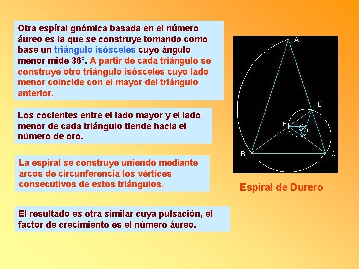 Otra espíral gnómica basada en el número áureo es la que se construye tomando