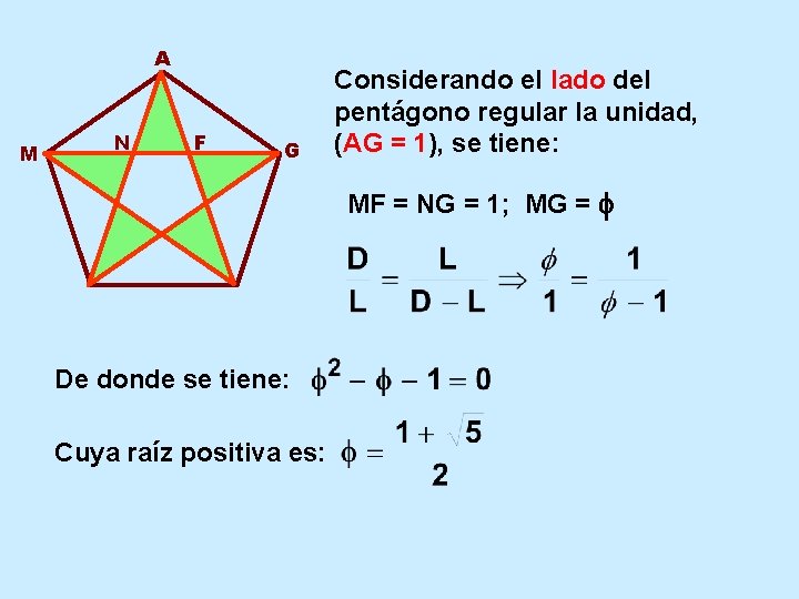 A M N F G Considerando el lado del pentágono regular la unidad, (AG