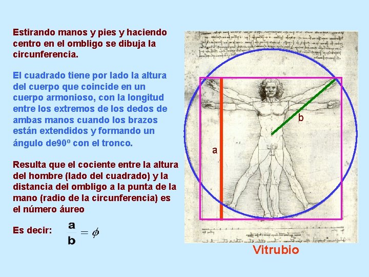 Estirando manos y pies y haciendo centro en el ombligo se dibuja la circunferencia.