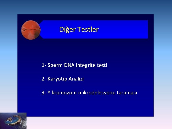 Diğer Testler 1 - Sperm DNA integrite testi 2 - Karyotip Analizi 3 -