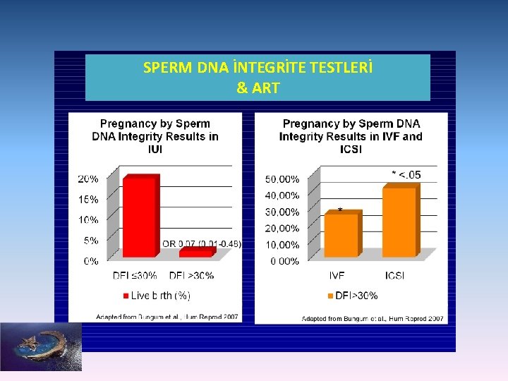 SPERM DNA İNTEGRİTE TESTLERİ & ART 