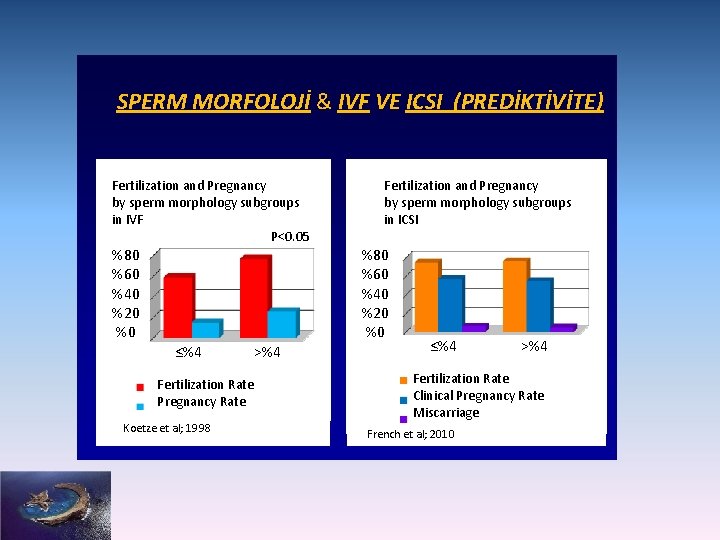 SPERM MORFOLOJİ & IVF VE ICSI (PREDİKTİVİTE) Fertilization and Pregnancy by sperm morphology subgroups