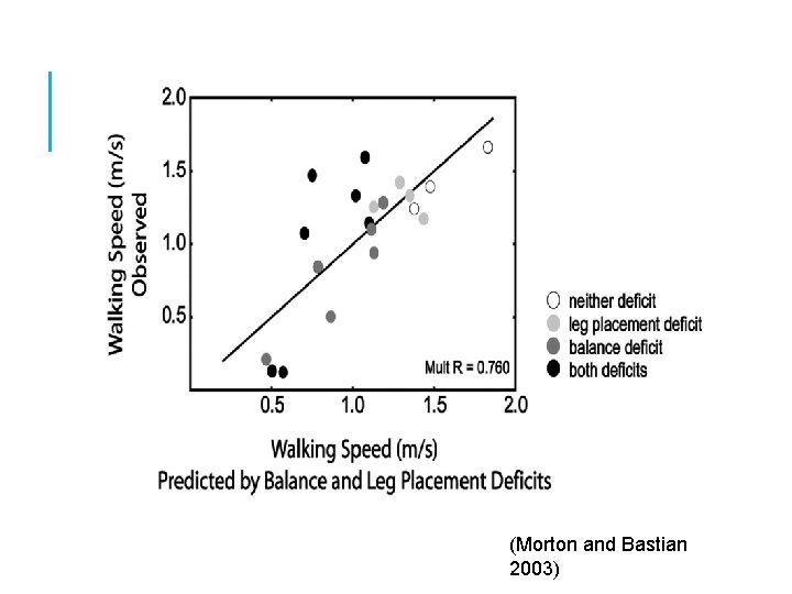 (Morton and Bastian 2003) 