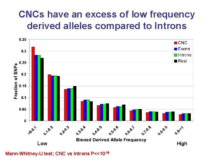 CNCs have an excess of low frequency derived alleles compared to Introns Low Mann-Whitney-U CNCs have an excess of low frequency derived alleles compared to Introns Low Mann-Whitney-U