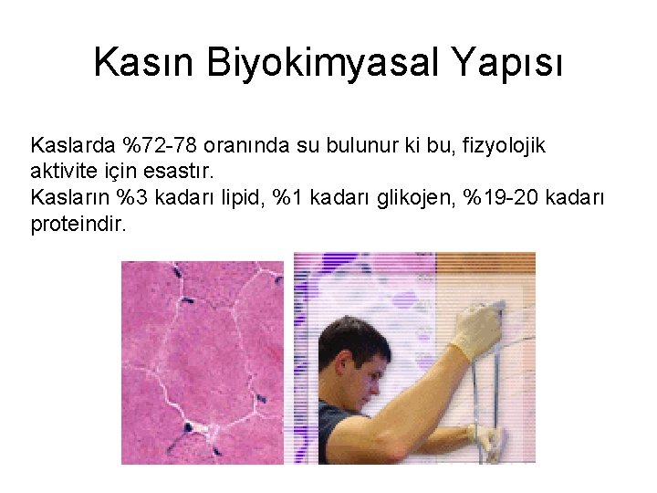 Kasın Biyokimyasal Yapısı Kaslarda %72 -78 oranında su bulunur ki bu, fizyolojik aktivite için