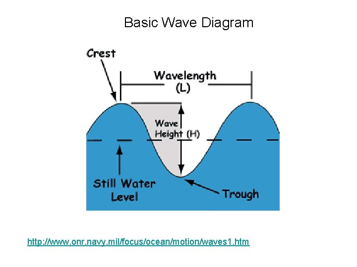 Basic Wave Diagram http: //www. onr. navy. mil/focus/ocean/motion/waves 1. htm 