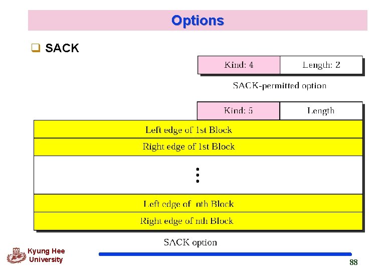 Options q SACK Kyung Hee University 88 