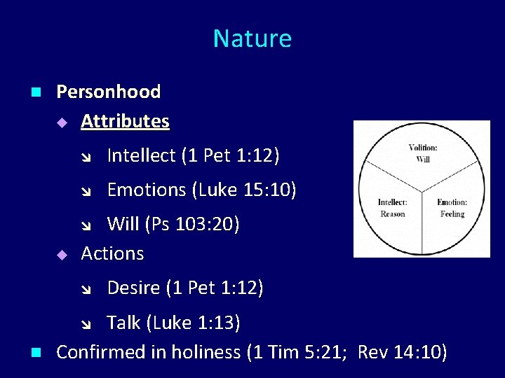 Nature n Personhood u Attributes Intellect (1 Pet 1: 12) Emotions (Luke 15: 10)
