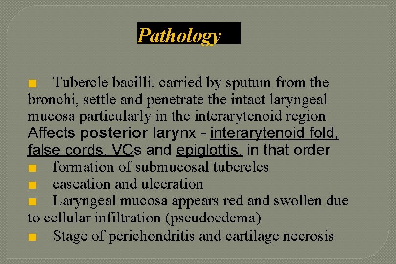 Pathology ■ Tubercle bacilli, carried by sputum from the bronchi, settle and penetrate the Pathology ■ Tubercle bacilli, carried by sputum from the bronchi, settle and penetrate the