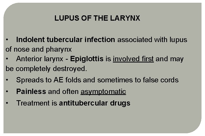 LUPUS OF THE LARYNX • Indolent tubercular infection associated with lupus of nose and LUPUS OF THE LARYNX • Indolent tubercular infection associated with lupus of nose and