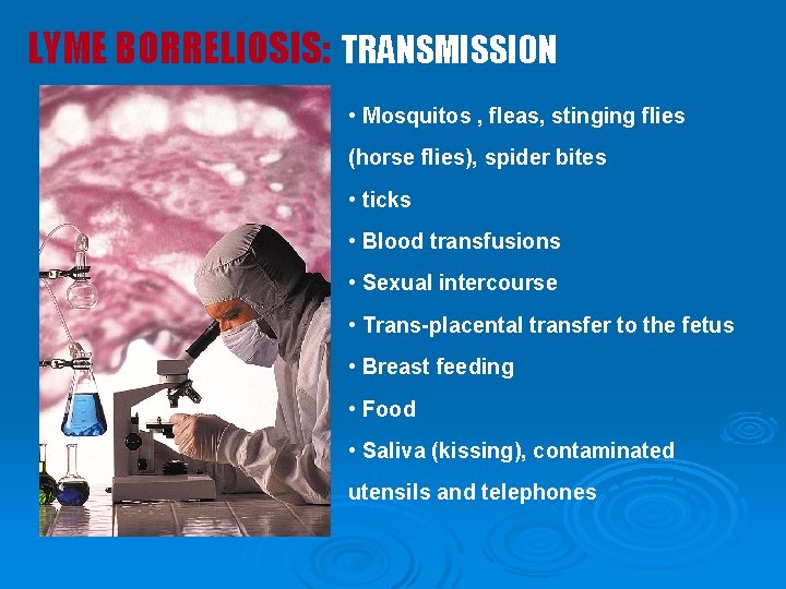LYME BORRELIOSIS: TRANSMISSION • Mosquitos , fleas, stinging flies (horse flies), spider bites • LYME BORRELIOSIS: TRANSMISSION • Mosquitos , fleas, stinging flies (horse flies), spider bites •