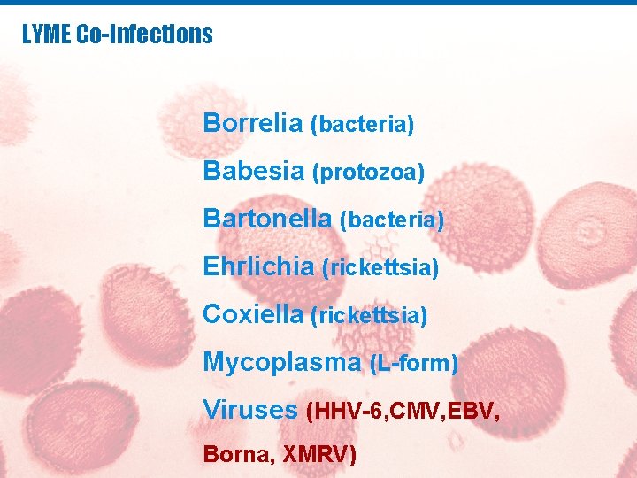 LYME Co-Infections CO-INFECTIONS Borrelia (bacteria) Babesia (protozoa) Bartonella (bacteria) Ehrlichia (rickettsia) Coxiella (rickettsia) Mycoplasma LYME Co-Infections CO-INFECTIONS Borrelia (bacteria) Babesia (protozoa) Bartonella (bacteria) Ehrlichia (rickettsia) Coxiella (rickettsia) Mycoplasma