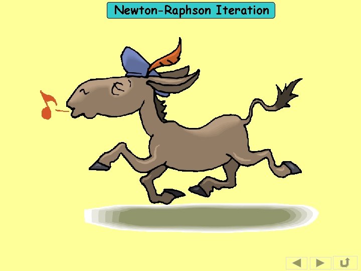 Newton-Raphson Iteration 