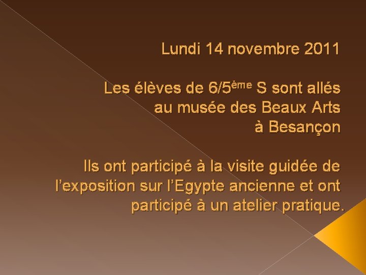 Lundi 14 novembre 2011 Les élèves de 6/5ème S sont allés au musée des