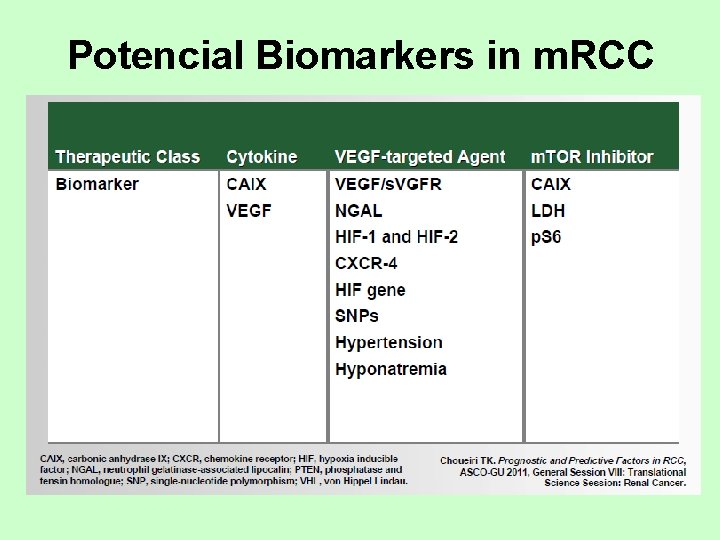 Potencial Biomarkers in m. RCC 