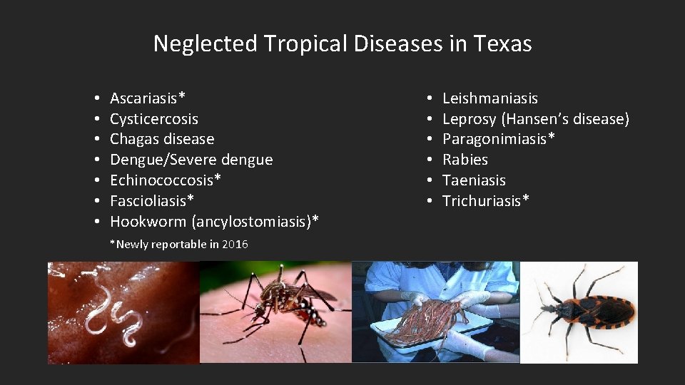Neglected Tropical Diseases in Texas • • Ascariasis* Cysticercosis Chagas disease Dengue/Severe dengue Echinococcosis*