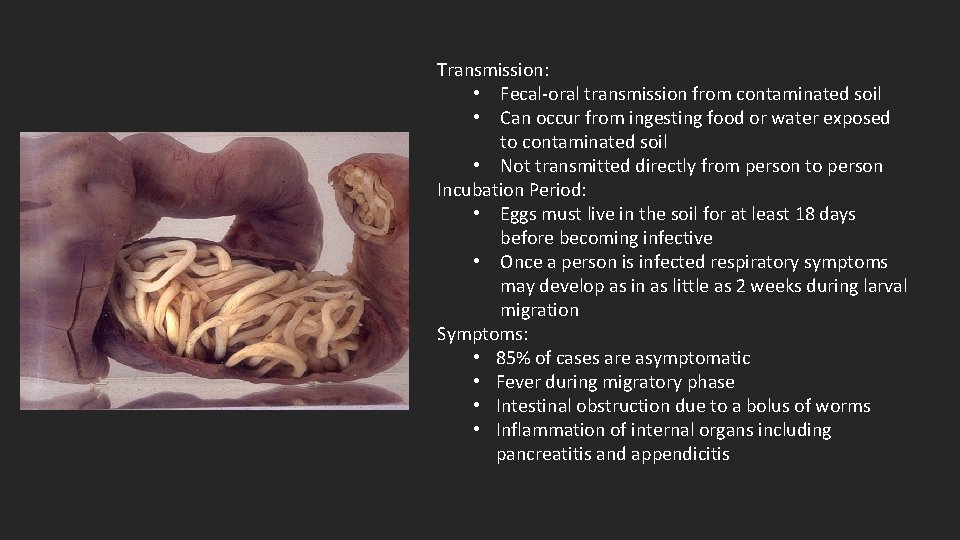 Transmission: • Fecal-oral transmission from contaminated soil • Can occur from ingesting food or