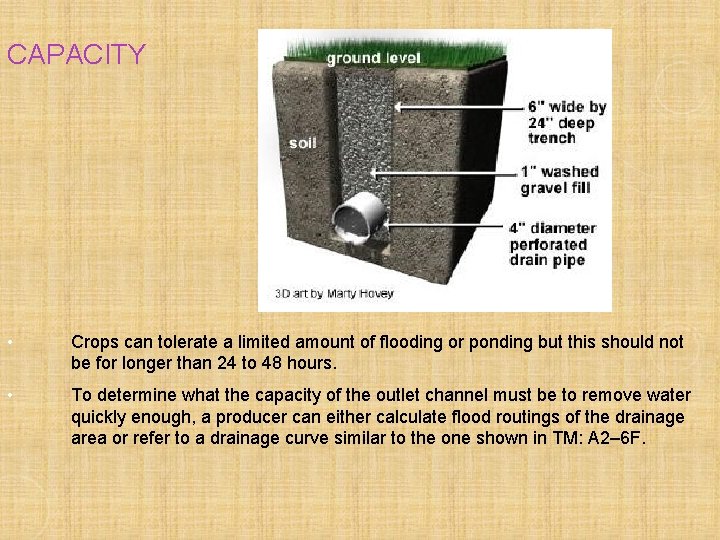CAPACITY • Crops can tolerate a limited amount of flooding or ponding but this