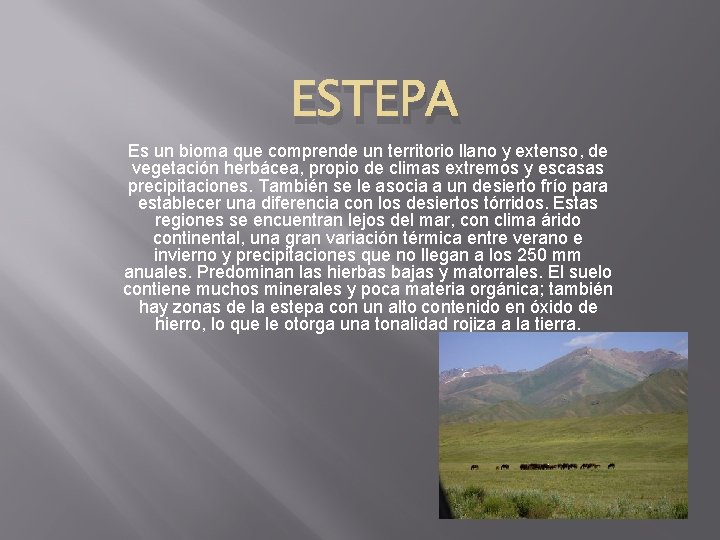 ESTEPA Es un bioma que comprende un territorio llano y extenso, de vegetación herbácea,