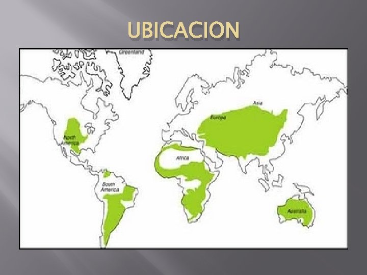 UBICACION 