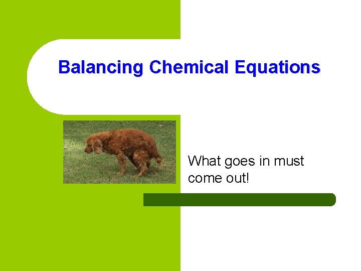 Balancing Chemical Equations What goes in must come out! 