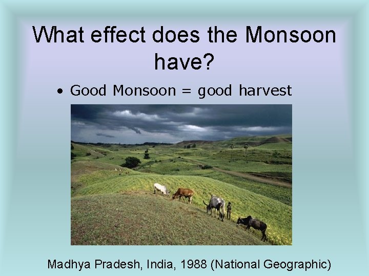 What effect does the Monsoon have? • Good Monsoon = good harvest Madhya Pradesh,
