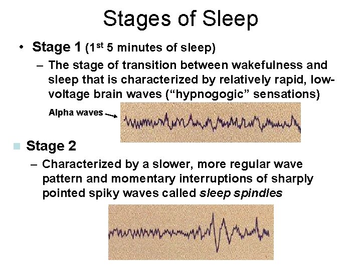 Stages of Sleep • Stage 1 (1 st 5 minutes of sleep) – The