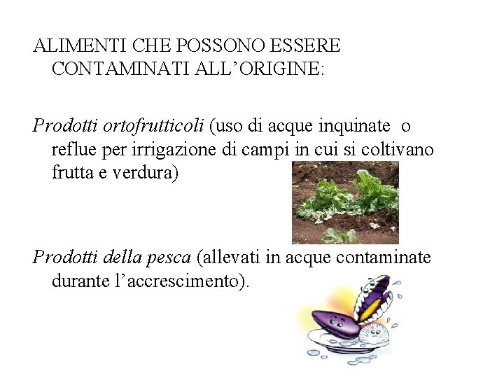 ALIMENTI CHE POSSONO ESSERE CONTAMINATI ALL’ORIGINE: Prodotti ortofrutticoli (uso di acque inquinate o reflue
