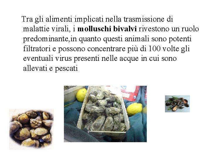 Tra gli alimenti implicati nella trasmissione di malattie virali, i molluschi bivalvi rivestono un