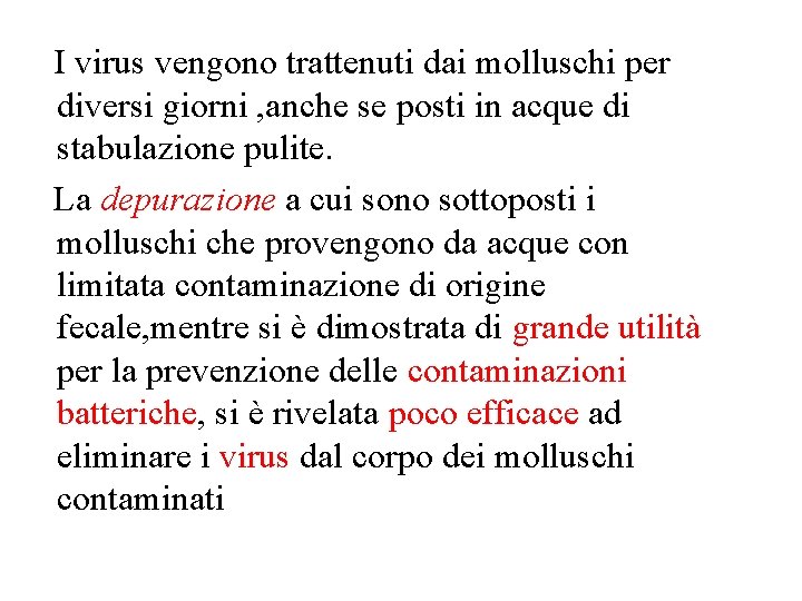 I virus vengono trattenuti dai molluschi per diversi giorni , anche se posti in