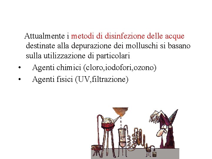 Attualmente i metodi di disinfezione delle acque destinate alla depurazione dei molluschi si basano
