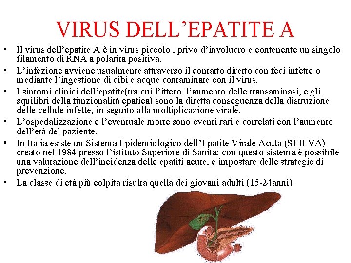 VIRUS DELL’EPATITE A • Il virus dell’epatite A è in virus piccolo , privo