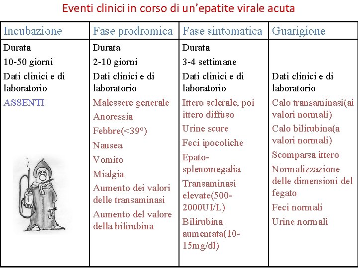 Eventi clinici in corso di un’epatite virale acuta Incubazione Fase prodromica Fase sintomatica Guarigione