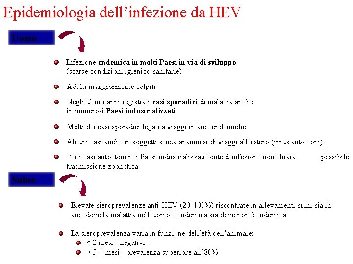 Epidemiologia dell’infezione da HEV Uomo Infezione endemica in molti Paesi in via di sviluppo