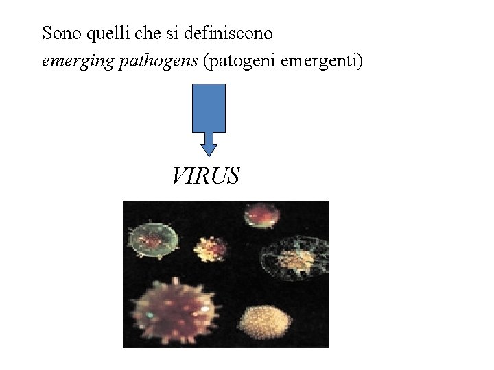 Sono quelli che si definiscono emerging pathogens (patogeni emergenti) VIRUS 