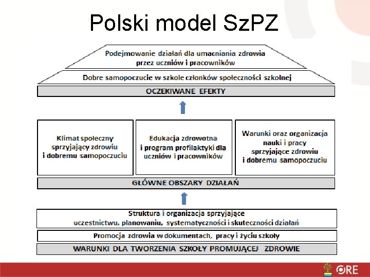 Polski model Sz. PZ 