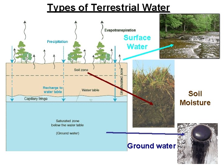 Types of Terrestrial Water Surface Water Soil Moisture Ground water 