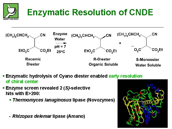 Enzymatic Resolution of CNDE § Enzymatic hydrolysis of Cyano diester enabled early resolution of