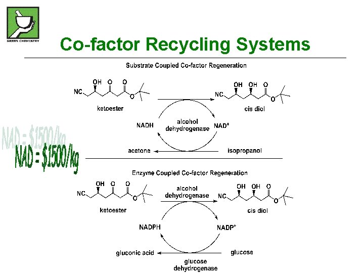 Co-factor Recycling Systems 
