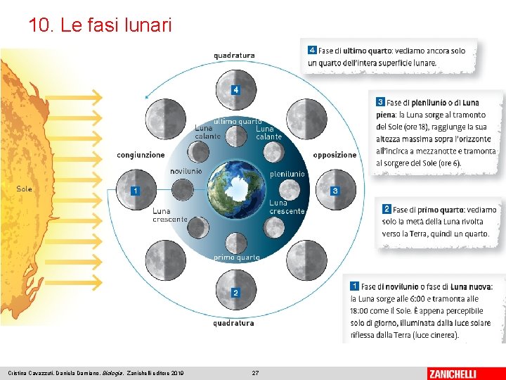 10. Le fasi lunari Cristina Cavazzuti, Daniela Damiano, Biologia, Zanichelli editore 2019 27 