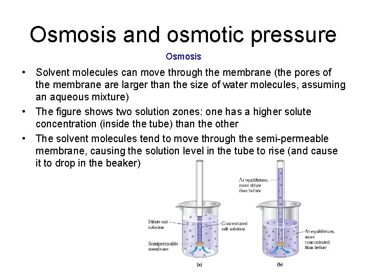 Osmosis and osmotic pressure Osmosis • Solvent molecules can move through the membrane (the