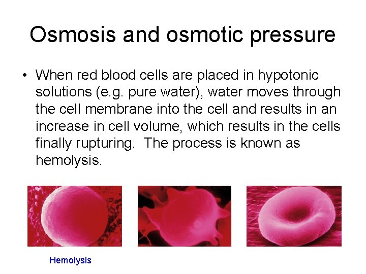 Osmosis and osmotic pressure • When red blood cells are placed in hypotonic solutions