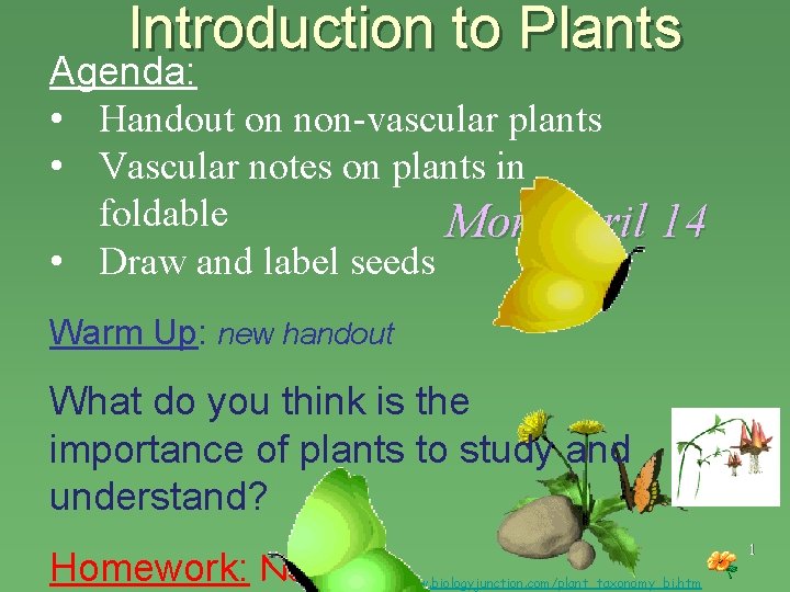 Introduction to Plants Agenda: • Handout on non-vascular plants • Vascular notes on plants